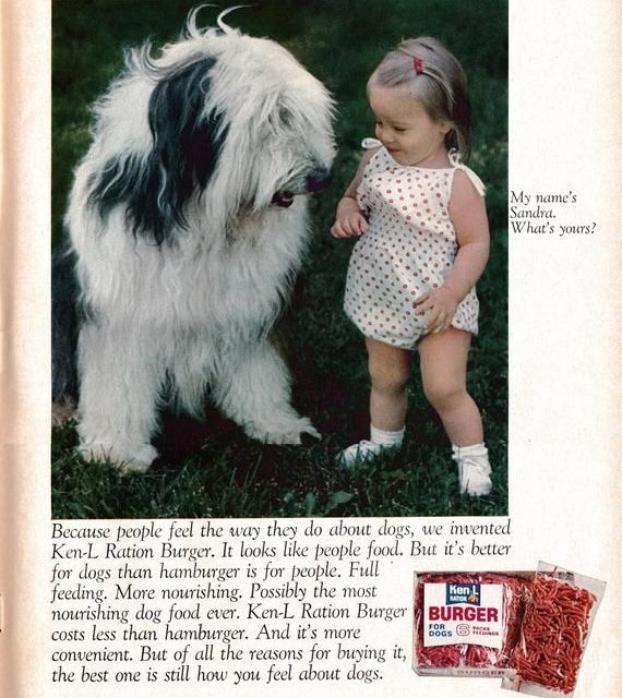 1968 Sheep Dog + Tiny Girl -Ken-L Ration Burger Dog Food-Original 13.5 * 10.5 Magazine Ad-Pet Food
