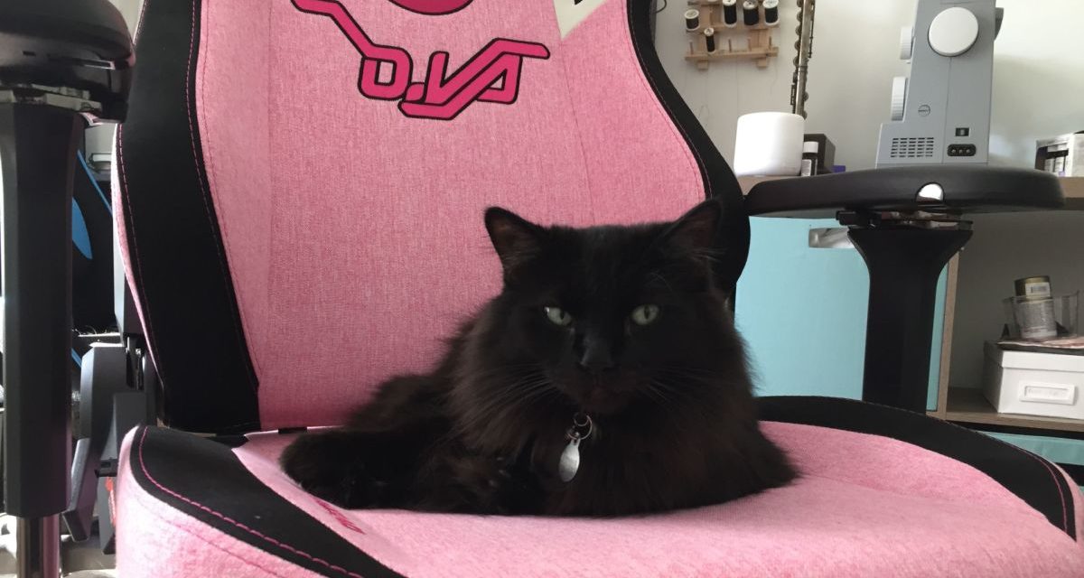 I Asked Cat Behavior Experts Why My Cat Is Obsessed With My Ridiculous Gamer Chair
