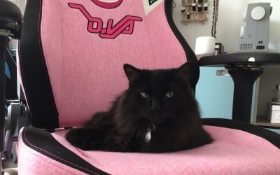 I Asked Cat Behavior Experts Why My Cat Is Obsessed With My Ridiculous Gamer Chair