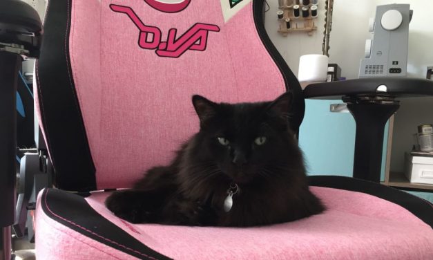 I Asked Cat Behavior Experts Why My Cat Is Obsessed With My Ridiculous Gamer Chair
