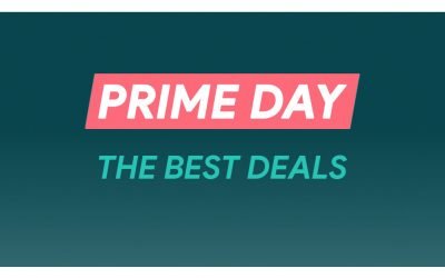 Amazon Prime Day Pet & Dog Deals (2020): Early Dog DNA Test, Cat Tree, & Pet & Dog Bed Sales Published by Spending Lab