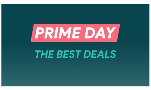 Amazon Prime Day Pet & Dog Deals (2020): Early Dog DNA Test, Cat Tree, & Pet & Dog Bed Sales Published by Spending Lab
