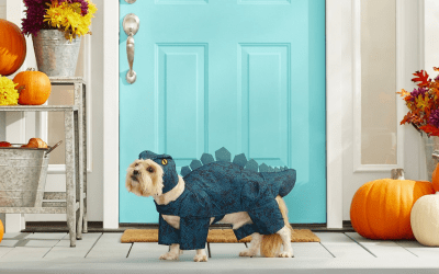 15 amazing pet Halloween costumes you need to buy