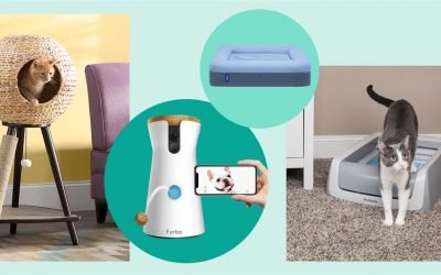Best Black Friday pet deals and sales