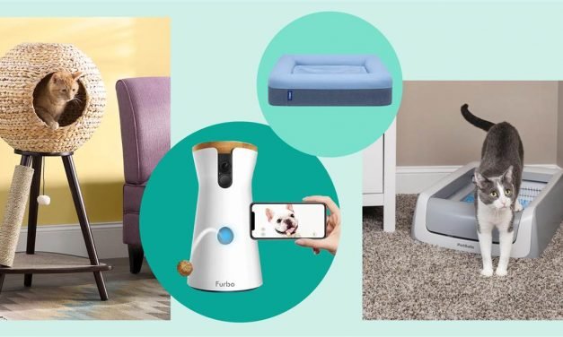 Best Black Friday pet deals and sales