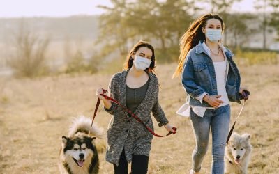 How to Care for a New Animal Companion  During the Coronavirus Pandemic