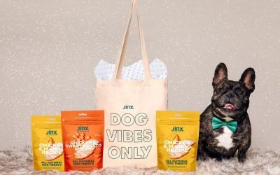 Holiday Gift Guide 2020: The Best Wellness Gifts For Pets (And Pet Lovers)