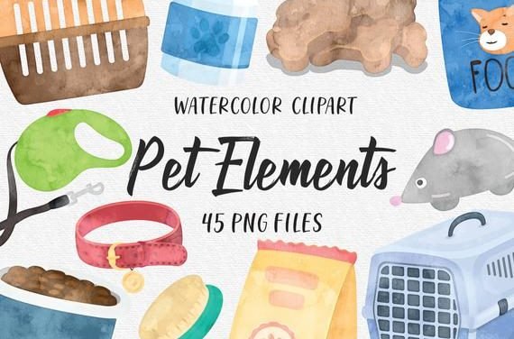 Pet Store Shop Elements, Petshop Pets Food Veterinary Pet Care, Dog Cats Fish Bowl Bone Watercolor Cliparts – PNG Clipart Set COMMERCIAL USE
