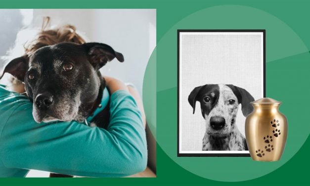Pet remembrance and sympathy gifts: Chewy, Petco and Amazon