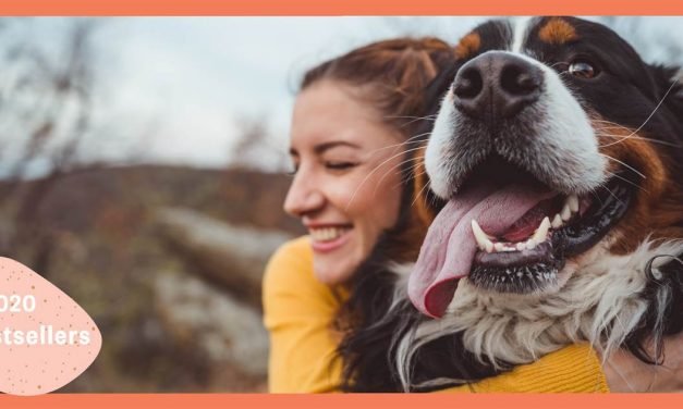 Shopping in 2020: Bestselling pet products, from dog food to harnesses and toys