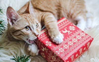 How To Prepare For Your First Christmas With A New Pet