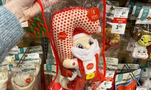 50% Off Christmas Pet Toys & Accessories at PetSmart