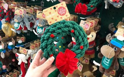 50% Off Holiday Pet Toys, Treats, & Accessories at Petco