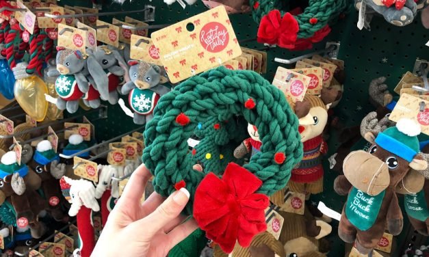 50% Off Holiday Pet Toys, Treats, & Accessories at Petco