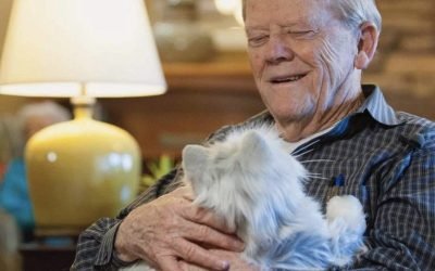 All the fun, none of the mess, these are the best Electronic Pets right now