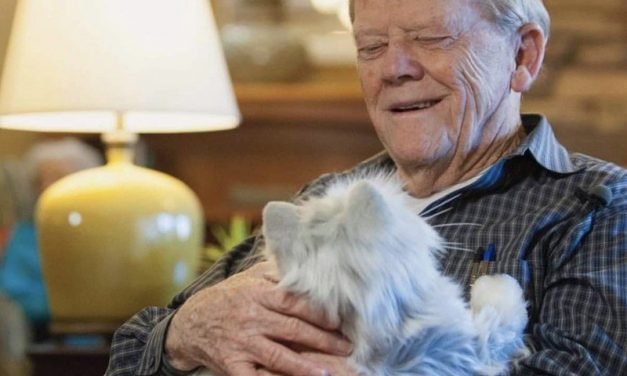 All the fun, none of the mess, these are the best Electronic Pets right now
