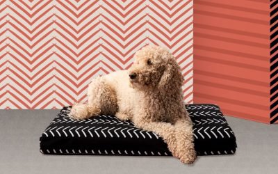 These 13 pet gifts will delight the dog and cat lovers in your life&mdash;or your own furry friend.