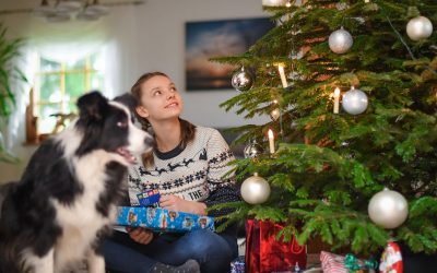 The Best Christmas Gifts for Pets and Their Owners
