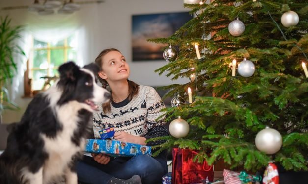 The Best Christmas Gifts for Pets and Their Owners
