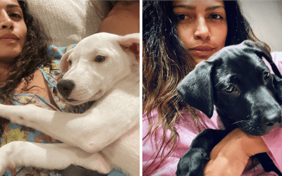 Matthew McConaughey and Camila Alves Adopt Two Puppies In One Week