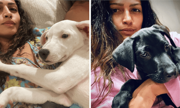 Matthew McConaughey and Camila Alves Adopt Two Puppies In One Week