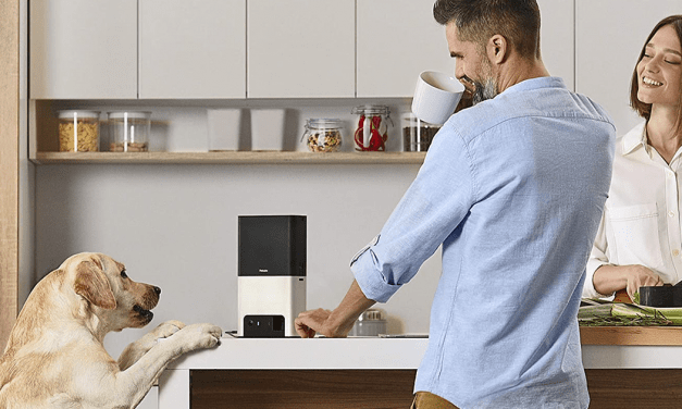 Keep an eye on your furry friend with these pet cameras on sale