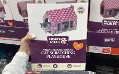 Valentine Cat Scratching Houses Only $7.99 at ALDI