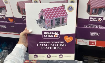 Valentine Cat Scratching Houses Only $7.99 at ALDI