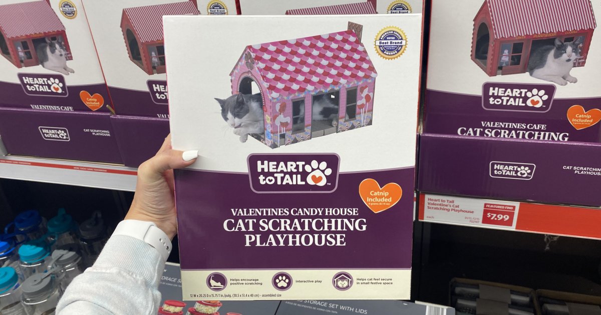 Valentine Cat Scratching Houses Only $7.99 at ALDI