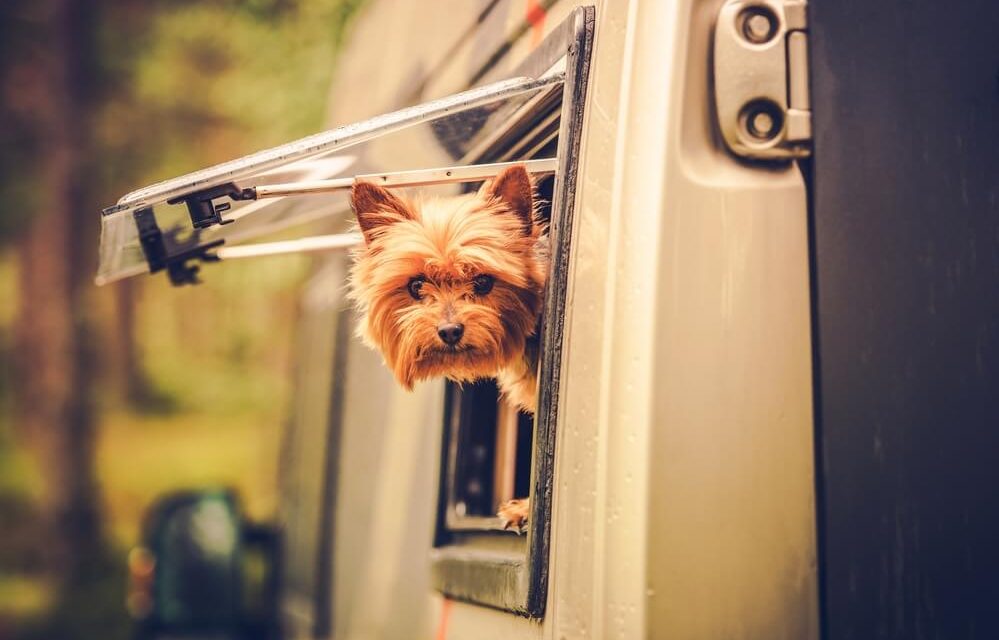 5 Best RVs for Traveling With Pets