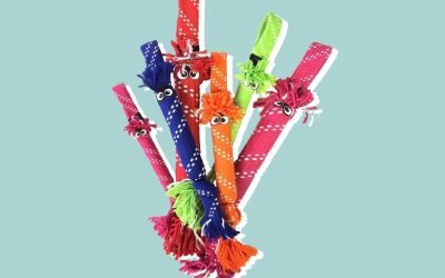 Perfect Presents for Your Pandemic Pet