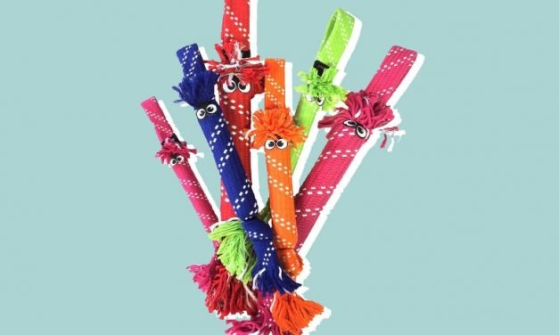 Perfect Presents for Your Pandemic Pet