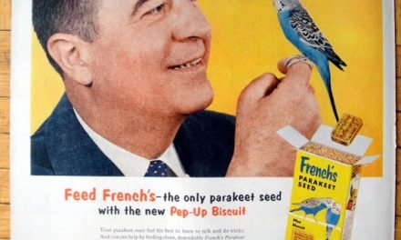 1956 Parakeet French's Seed-For Your Star Pupil- Original 13.5 * 10.5 Magazine Ad-Pet Food