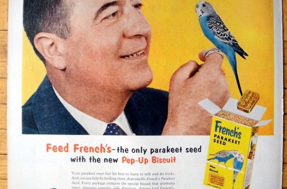 1956 Parakeet French's Seed-For Your Star Pupil- Original 13.5 * 10.5 Magazine Ad-Pet Food