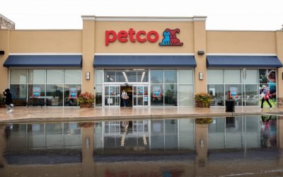 Pet care retailer Petco shares surge more than 50% as it returns to public market