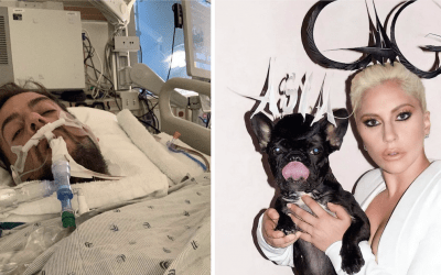 UPDATE: Lady Gaga&rsquo;s Dogwalker Recalls Events During Violent Dognapping