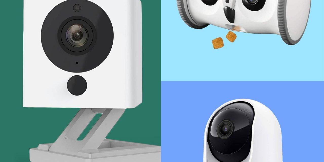 6 Best Pet Cameras for Keeping Tabs on Your Furry Friends