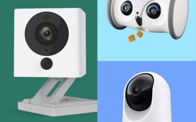 6 Best Pet Cameras for Keeping Tabs on Your Furry Friends