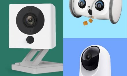 6 Best Pet Cameras for Keeping Tabs on Your Furry Friends