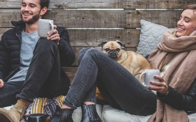 Top 5 must-install Android apps for pet owners – Gadget Bridge