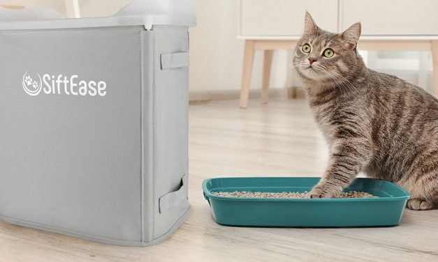 These 10 cat accessory deals should make your feline and you happy