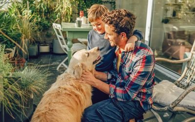 Best gifts for your pet