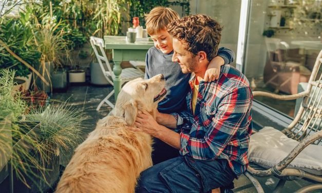 Best gifts for your pet