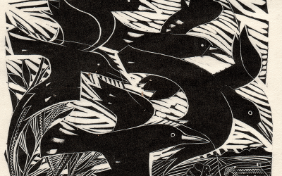 The Crow Whisperer: What happens when we talk to animals?