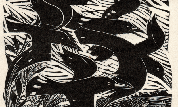 The Crow Whisperer: What happens when we talk to animals?