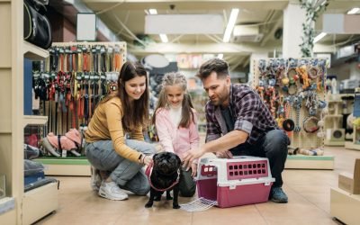 What you need to know to open an 'everything for your dog' store