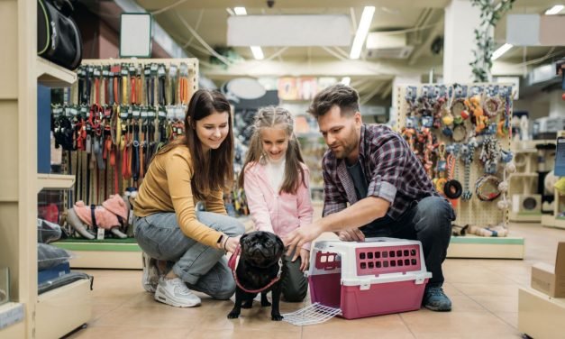 What you need to know to open an 'everything for your dog' store