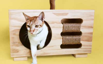 Modern, Multifunctional Furniture for Dogs + Cats Suitable for Any Room