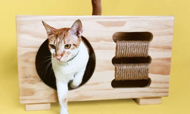 Modern, Multifunctional Furniture for Dogs + Cats Suitable for Any Room