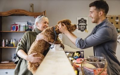 25 Pet Business Ideas